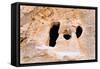 Living Ancient Cavern in Little Petra-vvoevale-Framed Stretched Canvas