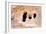 Living Ancient Cavern in Little Petra-vvoevale-Framed Photographic Print