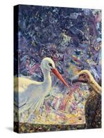 Living Between Beaks-James W Johnson-Stretched Canvas
