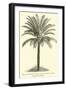 Living Cycad-null-Framed Giclee Print