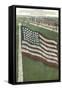 Living Flag at Naval Training Station, Illinois-null-Framed Stretched Canvas