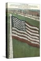 Living Flag at Naval Training Station, Illinois-null-Stretched Canvas