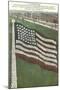 Living Flag at Naval Training Station, Illinois-null-Mounted Art Print