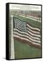 Living Flag at Naval Training Station, Illinois-null-Framed Stretched Canvas