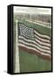 Living Flag at Naval Training Station, Illinois-null-Framed Stretched Canvas