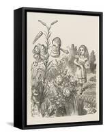 Living Flowers Alice and the Living Flowers-John Tenniel-Framed Stretched Canvas