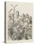 Living Flowers Alice and the Living Flowers-John Tenniel-Stretched Canvas