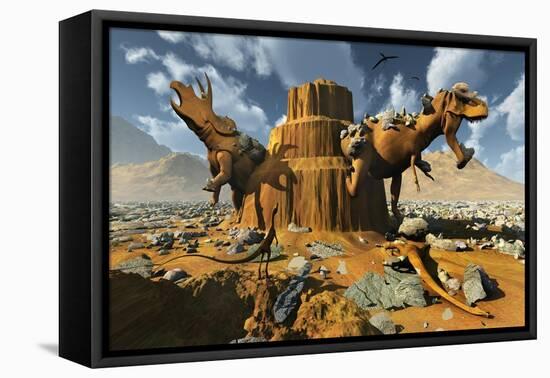 Living Fossils in a Desert Landscape-null-Framed Stretched Canvas