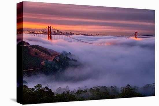 Living in this Dream of Fog and Light, Golden Gate Bridge, San Francisco-Vincent James-Stretched Canvas