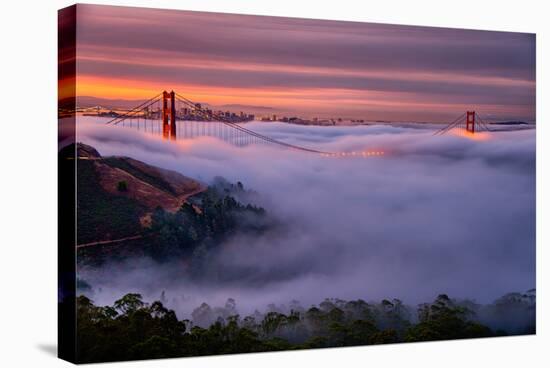 Living in this Dream of Fog and Light, Golden Gate Bridge, San Francisco-Vincent James-Stretched Canvas