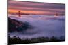 Living in this Dream of Fog and Light, Golden Gate Bridge, San Francisco-Vincent James-Mounted Premium Photographic Print