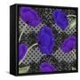 Living Lace I-Mindy Sommers-Framed Stretched Canvas