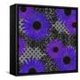 Living Lace II-Mindy Sommers-Framed Stretched Canvas