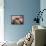 Living Space, Woman, Plastic-Chairs, Newspaper, Relaxation-Fact-Framed Stretched Canvas displayed on a wall