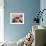 Living Space, Woman, Plastic-Chairs, Newspaper, Relaxation-Fact-Framed Photographic Print displayed on a wall