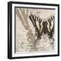 Living your Dreams II-Patricia Pinto-Framed Premium Giclee Print