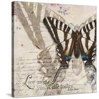 Living your Dreams II-Patricia Pinto-Stretched Canvas