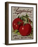 Livingston Tomato-Vintage Apple Collection-Framed Giclee Print