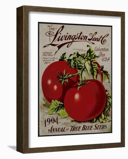 Livingston Tomato-Vintage Apple Collection-Framed Giclee Print