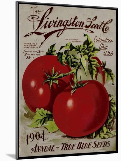 Livingston Tomato-Vintage Apple Collection-Mounted Giclee Print