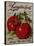 Livingston Tomato-Vintage Apple Collection-Stretched Canvas