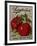 Livingston Tomato-Vintage Apple Collection-Framed Giclee Print