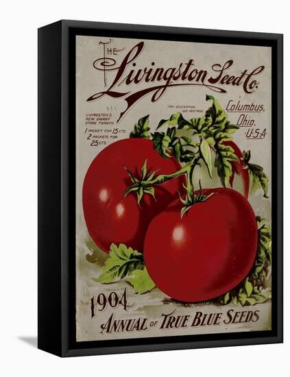 Livingston Tomato-Vintage Apple Collection-Framed Stretched Canvas