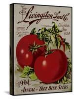 Livingston Tomato-Vintage Apple Collection-Stretched Canvas