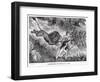 Livingstone Attacked by a Lion-null-Framed Giclee Print