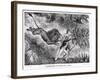 Livingstone Attacked by a Lion-null-Framed Giclee Print