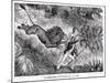 Livingstone Attacked by a Lion-null-Mounted Giclee Print