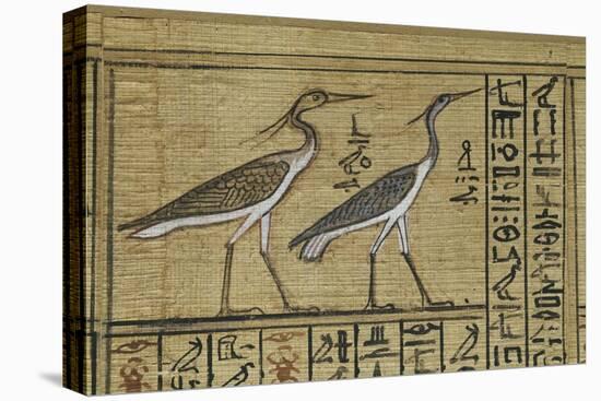 Livre des morts, papyrus de Nebqed-null-Stretched Canvas