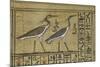 Livre des morts, papyrus de Nebqed-null-Mounted Giclee Print