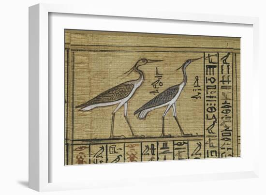 Livre des morts, papyrus de Nebqed-null-Framed Giclee Print