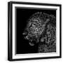 Black Frame