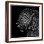 Brown Frame