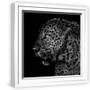 White Frame