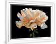 Gramercy White