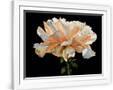 Gramercy White