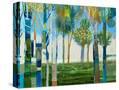 Stretched Canvas
