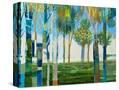 Stretched Canvas