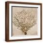 Brown Frame