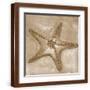 Brown Frame