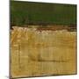 Wood Mount