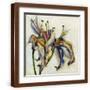 Brown Frame