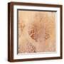 Brown Frame