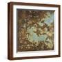 Brown Frame