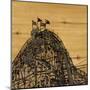 Wood Mount