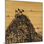 Wood Mount