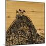 Wood Mount